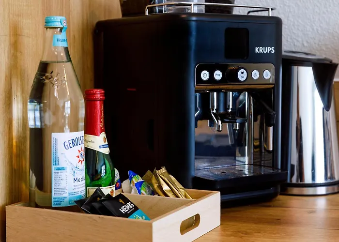 Faehrmann Im Haeuschen Am Rhein