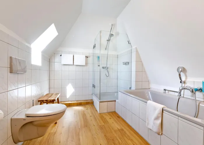 Faehrmann Im Haeuschen Am Rhein